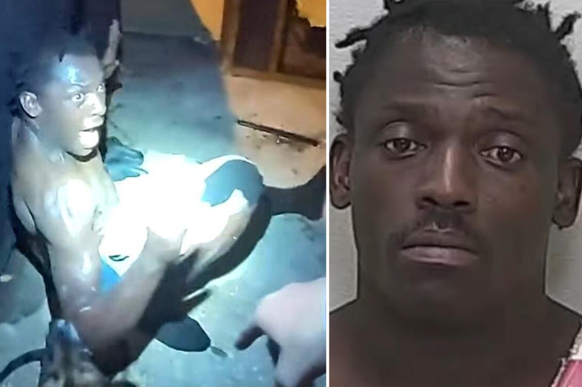 Shirtless Florida man sendtenced for diving through Taco Bell window, robbing place with 'large rock'