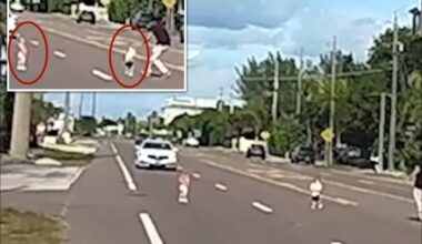 Stranger rescues pair of toddlers who wandered onto busy Florida road: video