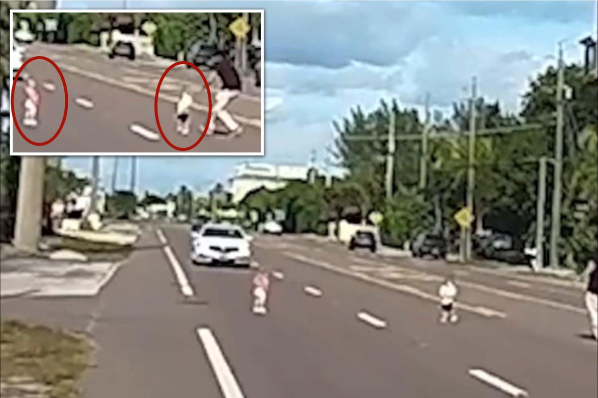 Stranger rescues pair of toddlers who wandered onto busy Florida road: video