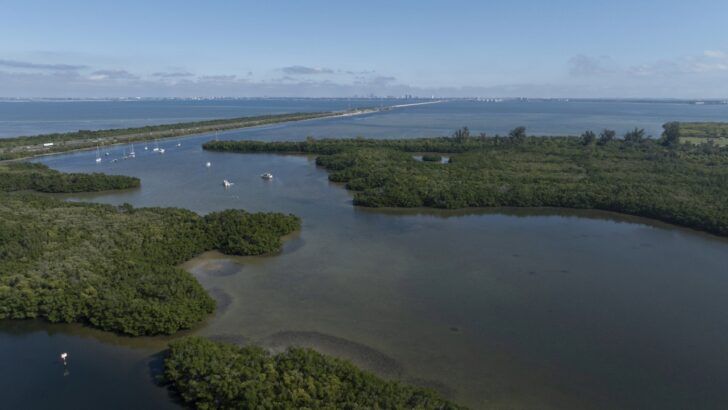 Aerial view of mangroves and open water near north St. Petersburg along Tampa Bay.
