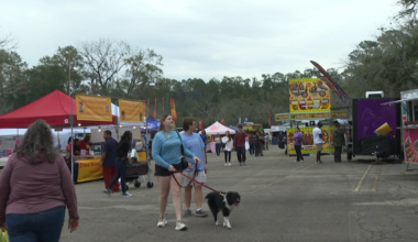 FoodeesFest bringing over 30 food trucks to Tallahassee this weekend