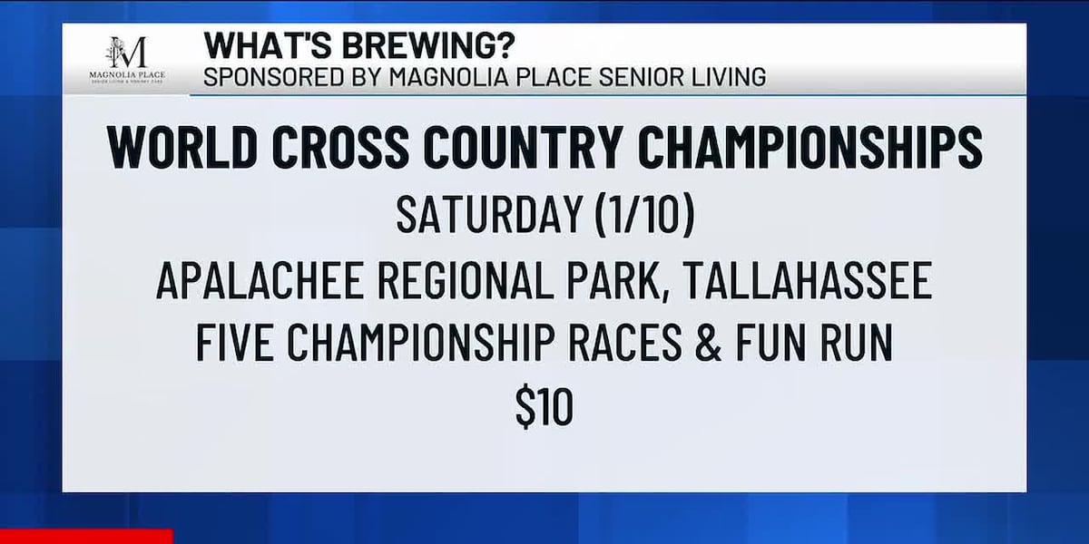 What’s Brewing - World Athletics Cross Country Championships