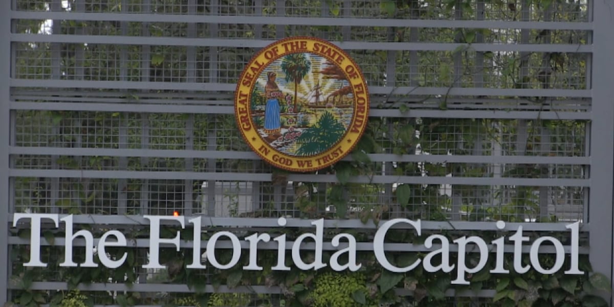 Multitude of bills introduced in recent Florida legislative session