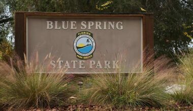 Florida wildlife officials investigate 101 reported vulture deaths at state park