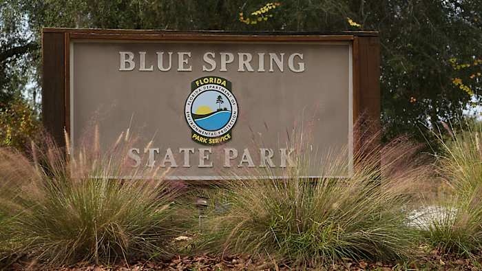 Florida wildlife officials investigate 101 reported vulture deaths at state park