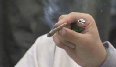 Florida’s pot proposal called ‘fatally flawed’ by state attorney general