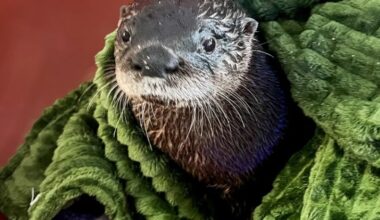 Five ways to give back and get involved in your community