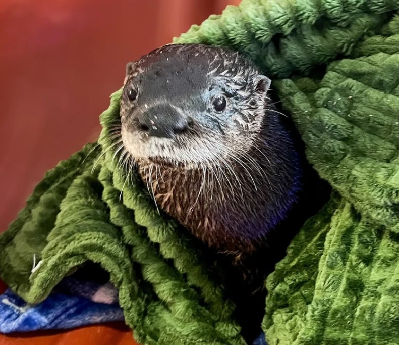 Five ways to give back and get involved in your community