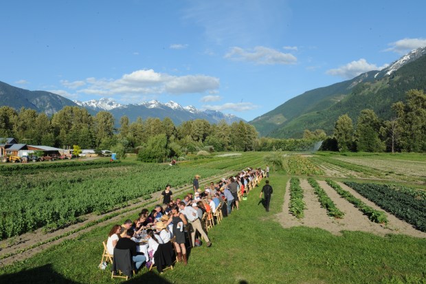 This Outstanding in the Field dinner, at North Arm Farm near Whistler, welcomed a large table of guests for a farm-centric feast. Guests at Orlando's Everoak can expect a similar setting, save the mountains. (Photo courtesy Outstanding in the Field)