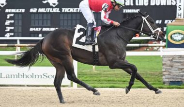 Florida-bred racehorse Win N Your In, guided by jockey Samy Camacho, pulls away from competition (out of frame of the photo) to win an upper tier, $100,000 optional claiming for fillies and mares, 4-years-old and older at Tampa Bay Downs on January 7, 2026. (Photo: ©SV Photography)