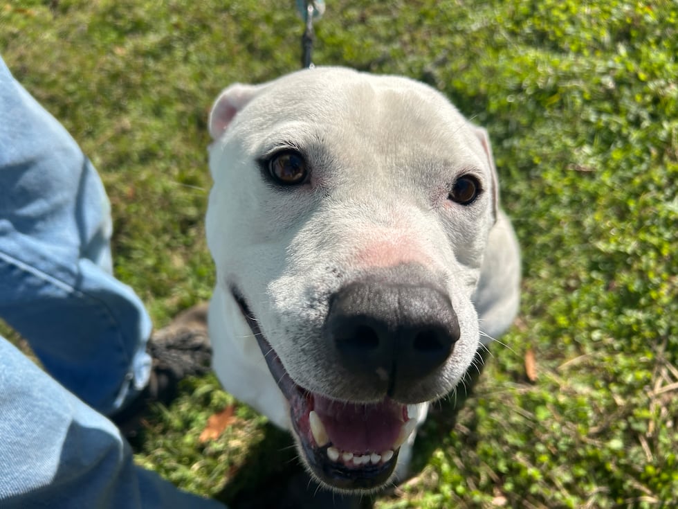 Joshua is coming out of his shell and you just can’t wipe the smile off his face!