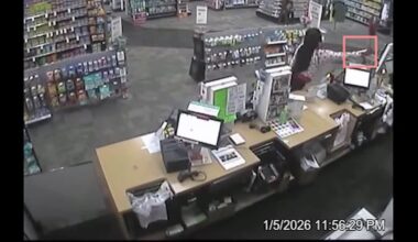 St. Petersburg’s ‘Pepper Spray Robbers’