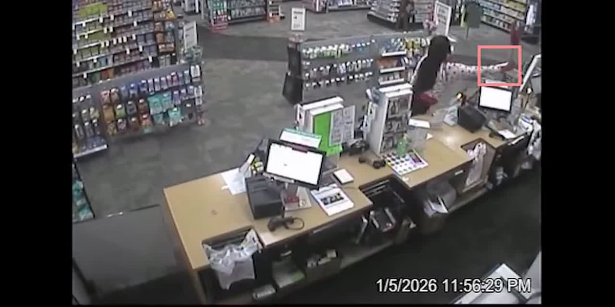 St. Petersburg’s ‘Pepper Spray Robbers’