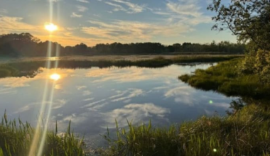 This ‘outrageous’ Central Florida home is hidden on an island. Would you visit?