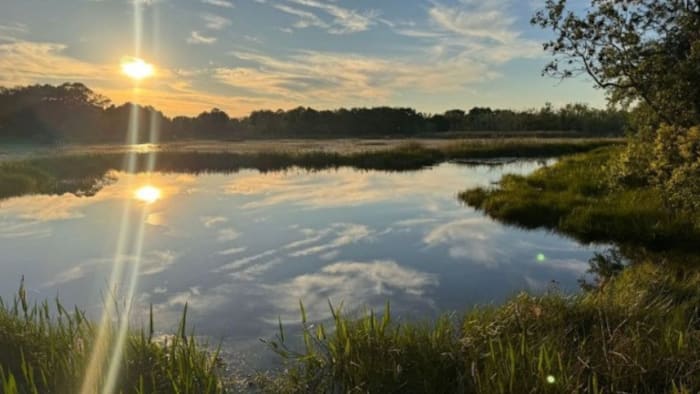This ‘outrageous’ Central Florida home is hidden on an island. Would you visit?