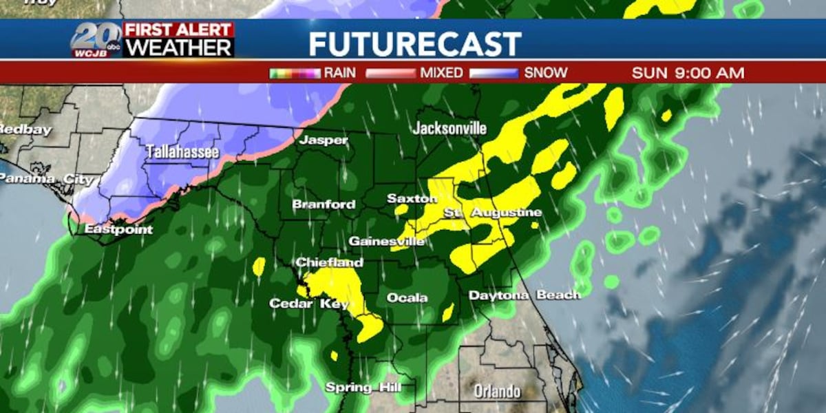 Snow in Florida? TV20 meteorologist explains potential for freezing rain, ice, snow