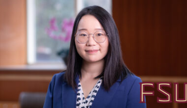 FSU chemist named Rising Star for contributions to clean energy discovery, storage