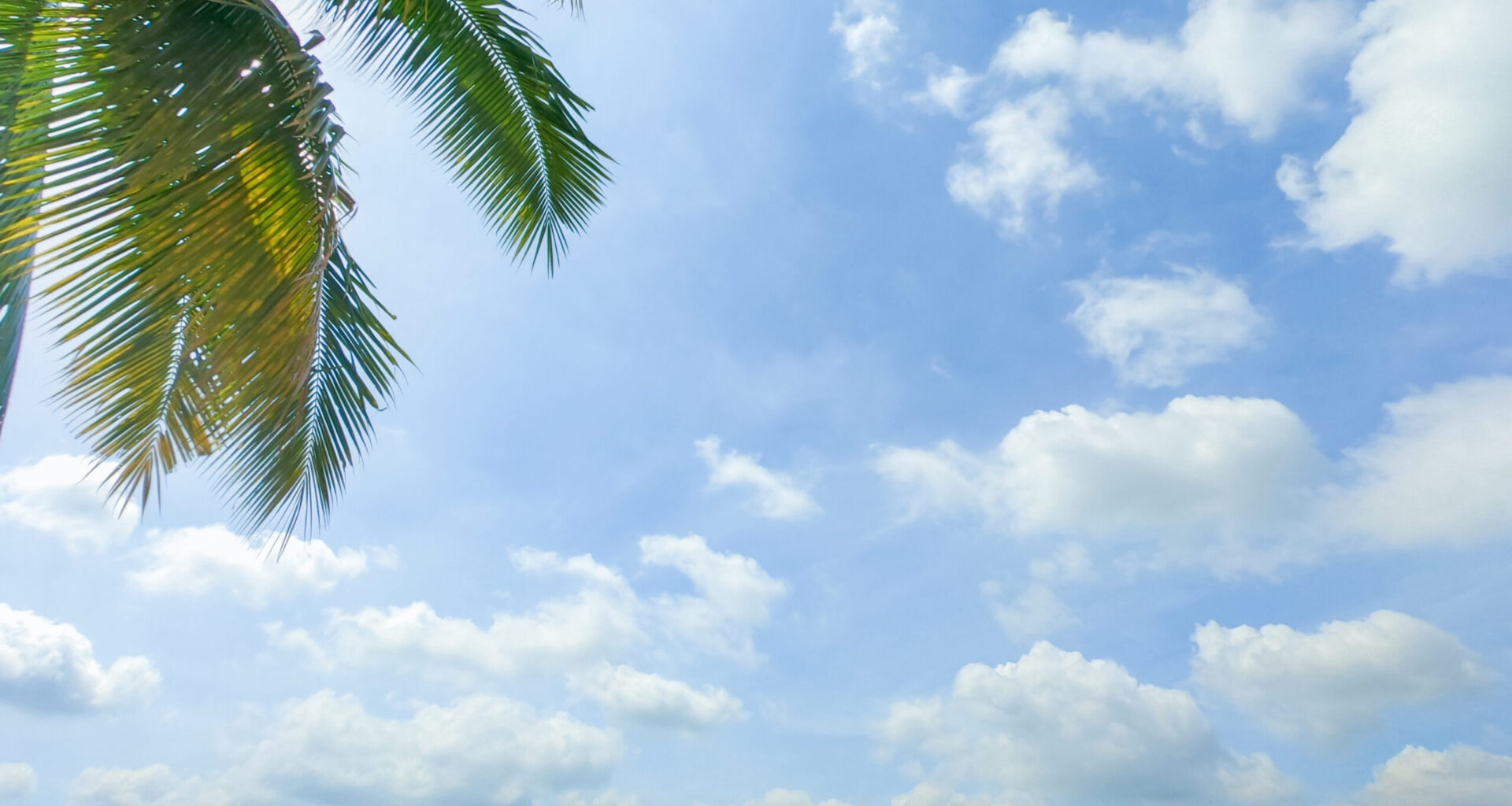 Florida's aerial highway could take off in 2027