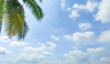 Florida's aerial highway could take off in 2027