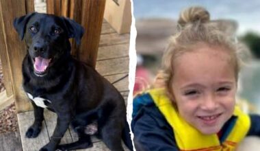 Johnathan Boley, 4-year-old missing Florida boy, found dead in Alabama