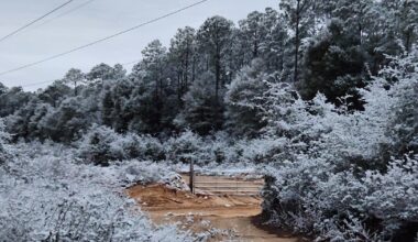 Florida Panhandle becomes winter wonderland as parts of Sunshine State see snow for second year in a row