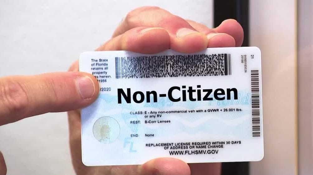 Florida bill proposes marking noncitizen driver's licenses