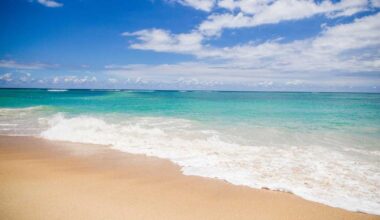 Fun things to do in South Florida