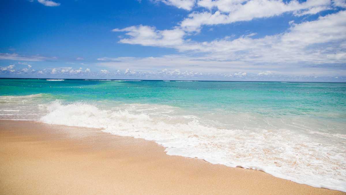 Fun things to do in South Florida