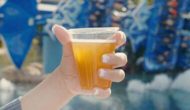 SeaWorld Orlando Brings Back Free Beer and Happy Hour Specials Through January