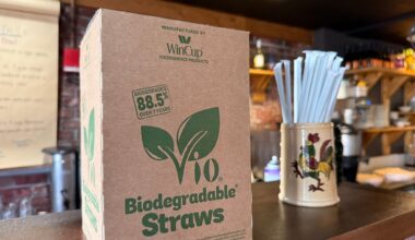 Florida bill takes aim at paper straws