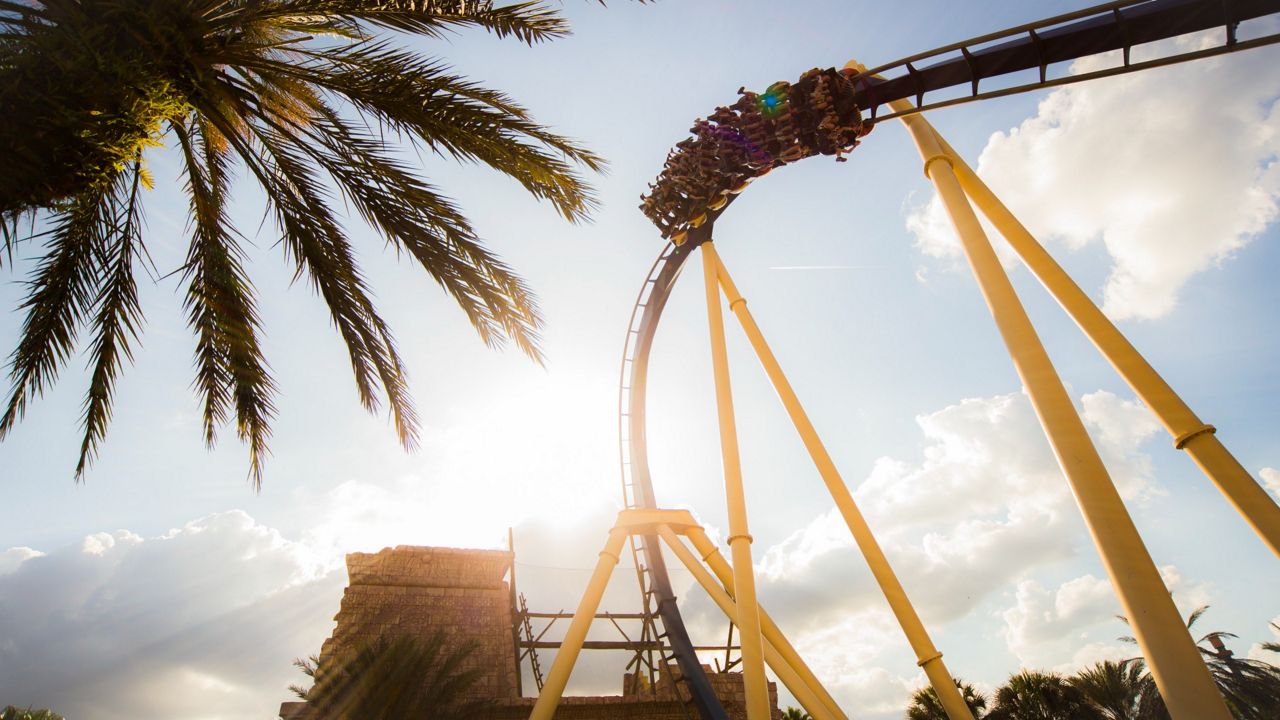 Montu roller coaster at Busch Gardens Tampa Bay. (Photo courtesy: Busch Gardens)