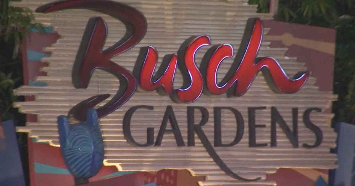 Busch Gardens Tampa Bay, Adventure Island offering free admission to Florida preschoolers