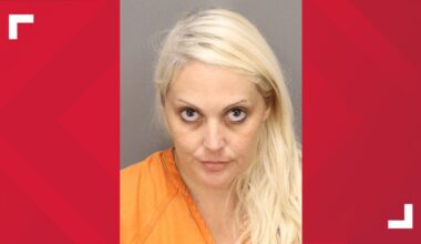 Affidavit: Pinellas County woman threatens ex with meat cleaver, large cement rock