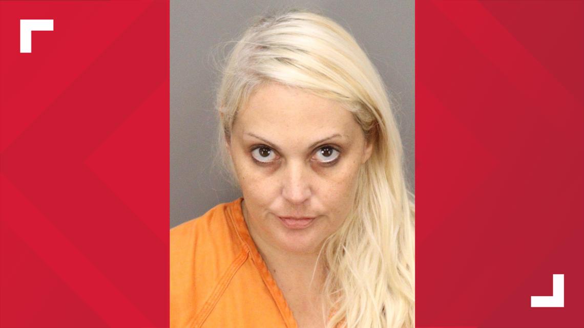 Affidavit: Pinellas County woman threatens ex with meat cleaver, large cement rock