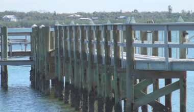 Manatee County residents push back on possible cruise port near Rattlesnake Key