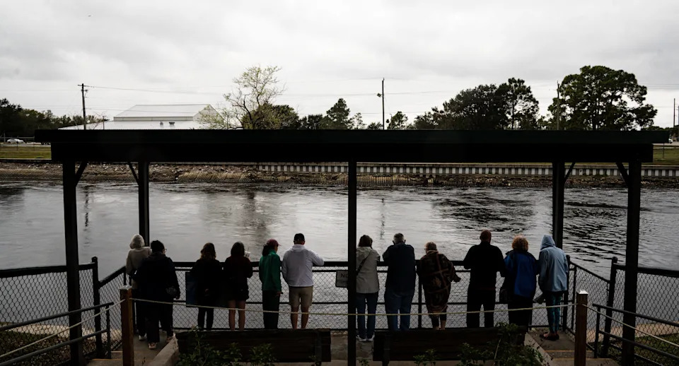 Visitors to Manatee Park in Fort Myers try to get a glimpse of the sea cows on a dreary day on Thursday, Jan. 15, 2026. As a cold front moves through Southwest Florida, manatees should be seen in abundance. On Thursday, there were only. handful of manatees in the park.