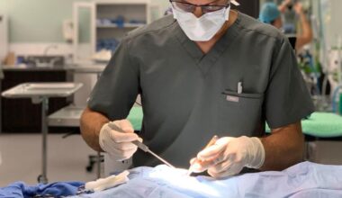 Operation Big Fix: Clinic launches free spay and neuter program for Duval County dogs