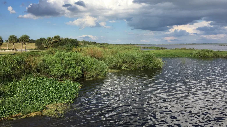 Lake Okeechobee, Florida