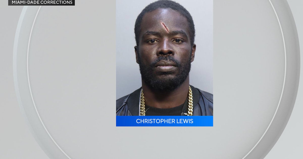 Miami-Dade man accused of killing puppy facing felony charge, officials say