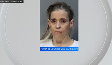 Miami woman posed as immigration attorney, stole money from woman seeking help, police say