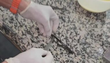 South Florida takes aim at vanilla shortage, cost