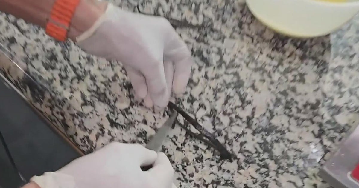 South Florida takes aim at vanilla shortage, cost