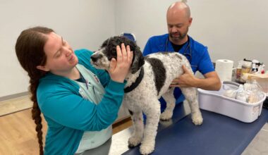 New vet clinic opens in St. Pete offering night and weekend hours at non-emergency prices