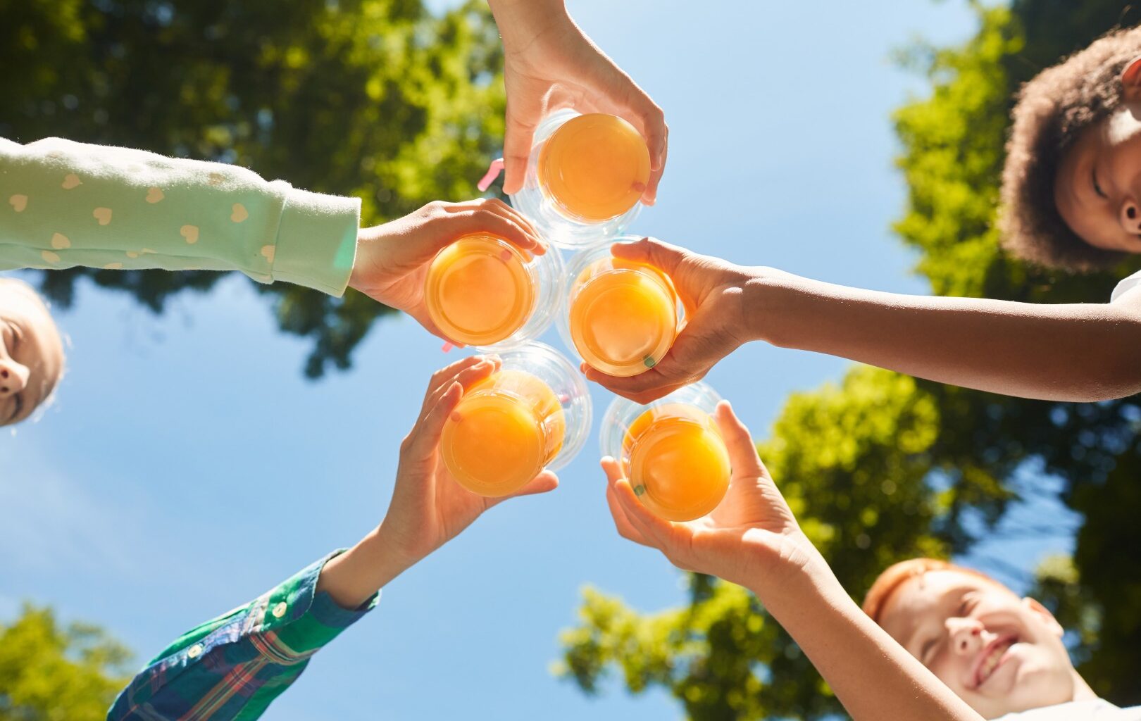 Florida Citrus Mutual analysis shows things are looking up in 2026 for growers