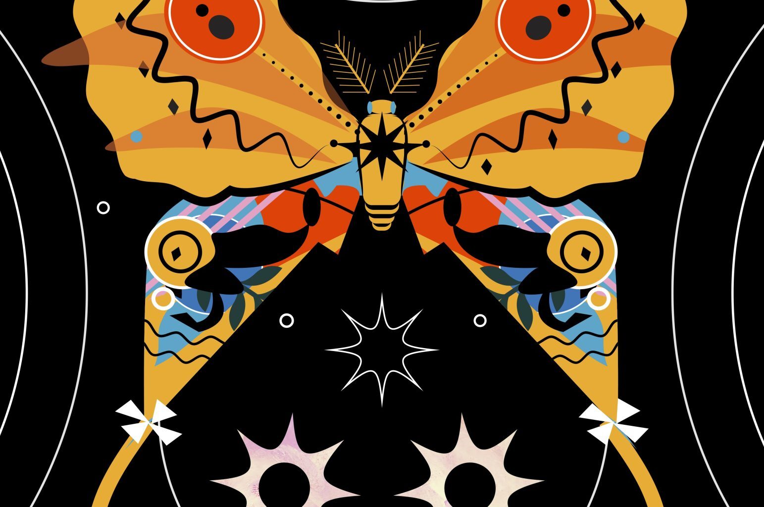 Seven emerging Tampa Bay artists to watch in 2026 and beyond