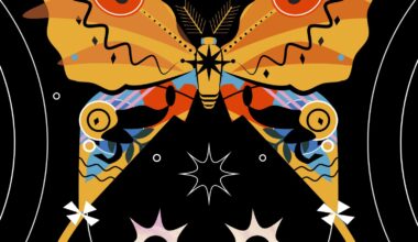 Seven emerging Tampa Bay artists to watch in 2026 and beyond