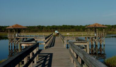 Remind Volusia leaders that forever means forever – Orlando Sentinel