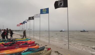 Hundreds take to to the water in Frogman Swim to honor fallen Navy SEALs, support Gold Star families