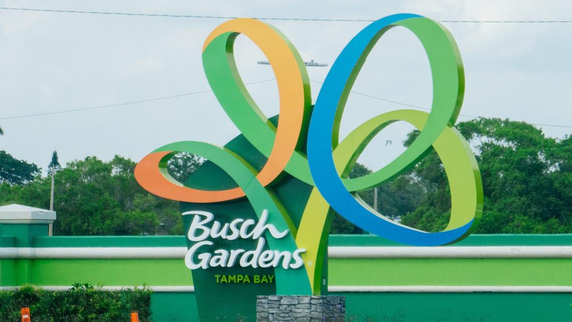 Busch Gardens offers free, unlimited park visits to Florida kids 3-5