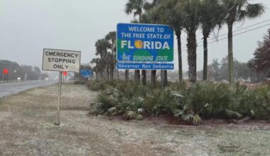 Florida snow 2026: Here are photos, videos capturing snowfall across the panhandle